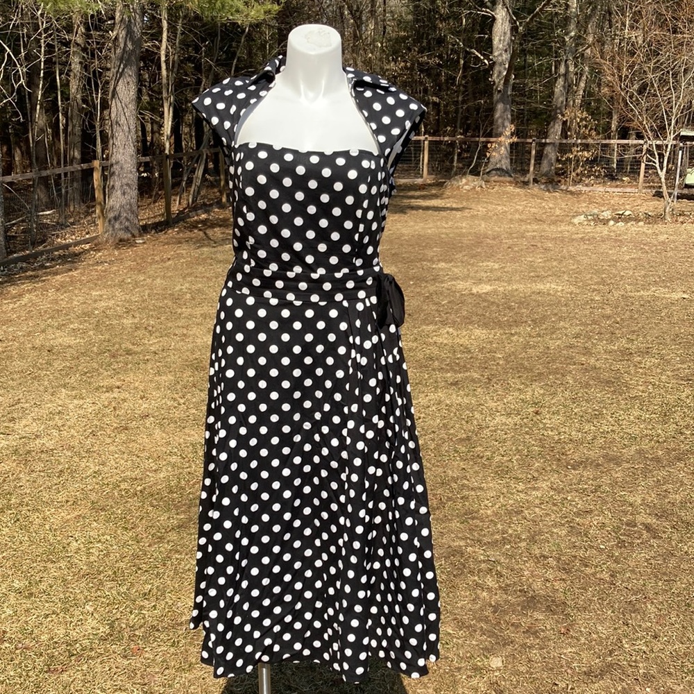 ChicStar bow waist polka dot pinup dress Rachel Storms model size 22